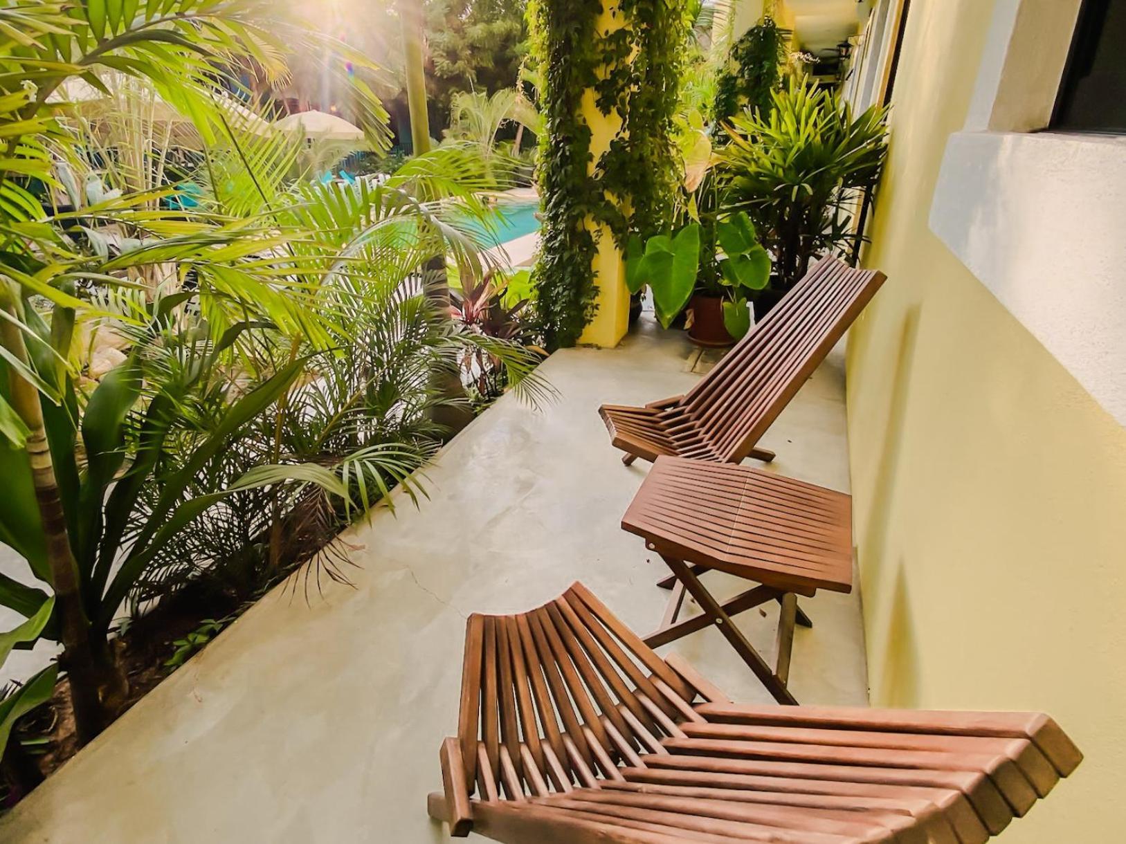 Gallo Azul Hotel, En El Corazon De Todos Santos Exterior foto