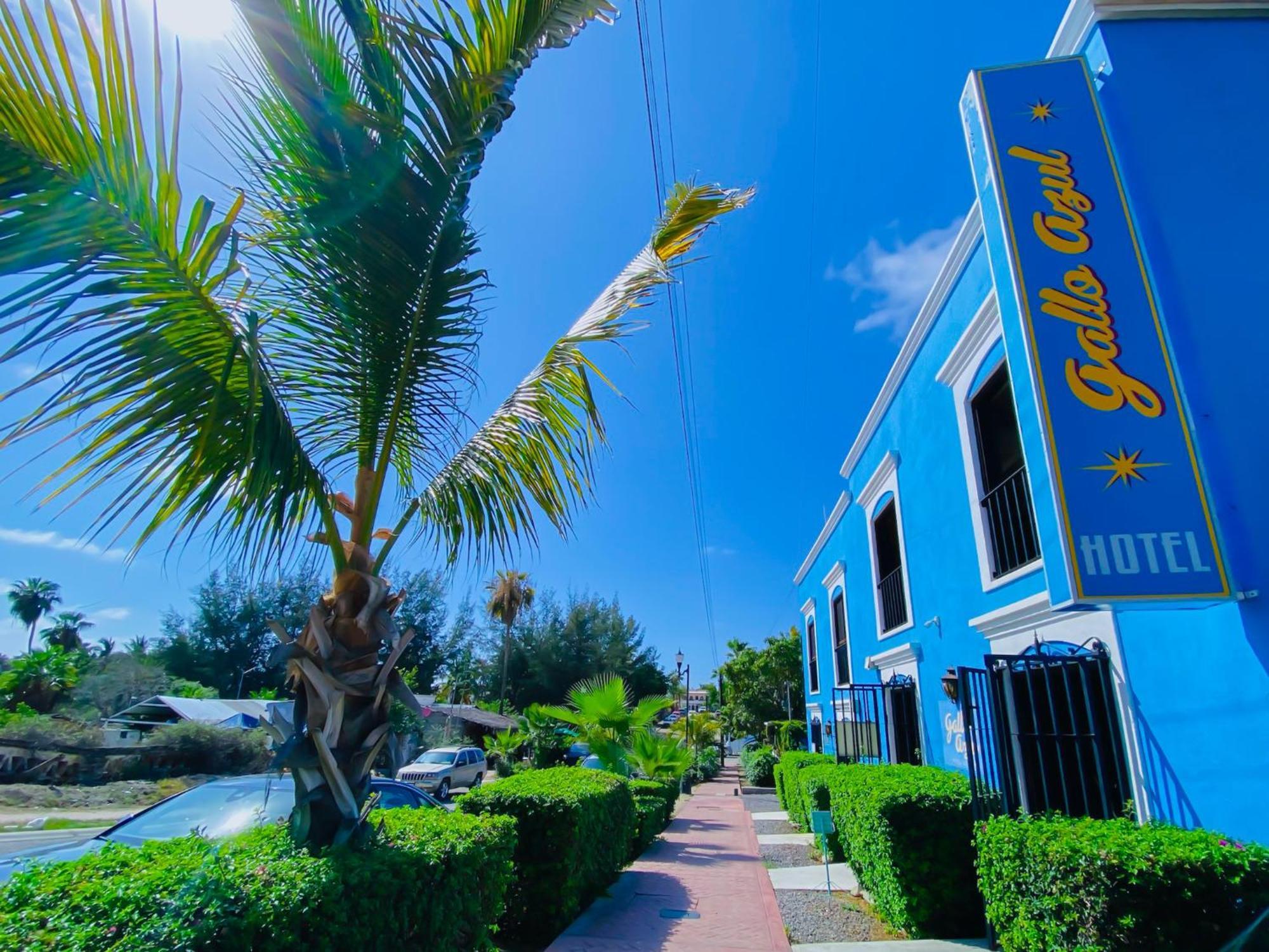 Gallo Azul Hotel, En El Corazon De Todos Santos Exterior foto