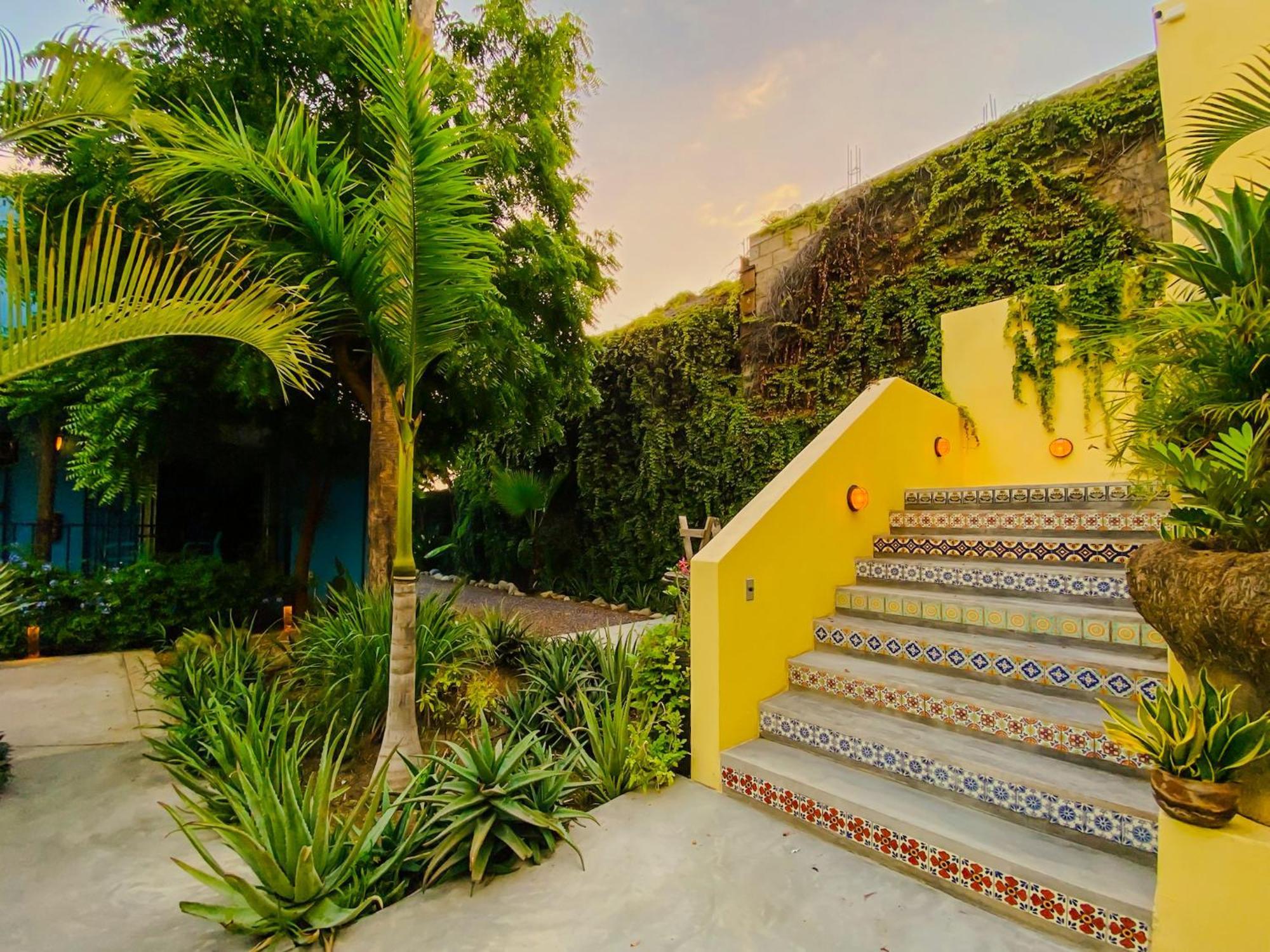 Gallo Azul Hotel, En El Corazon De Todos Santos Exterior foto